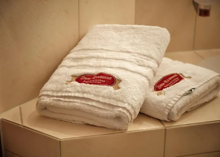 Turmhotel Zum Erasmus 3*