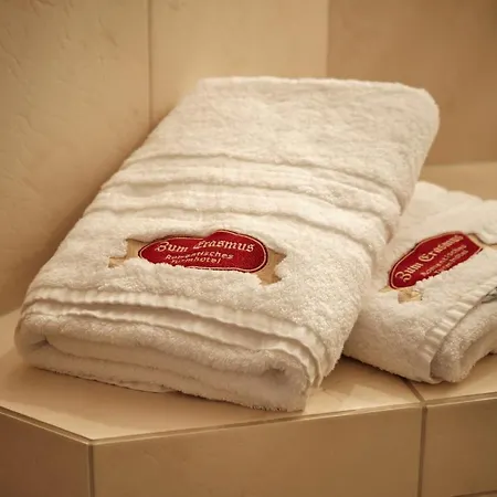 Turmhotel Zum Erasmus 3*